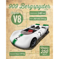 909 Bergspyder