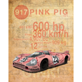 917 Rosa Sau