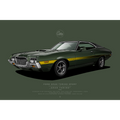 Ford Gran Torino Sport Gran Torino