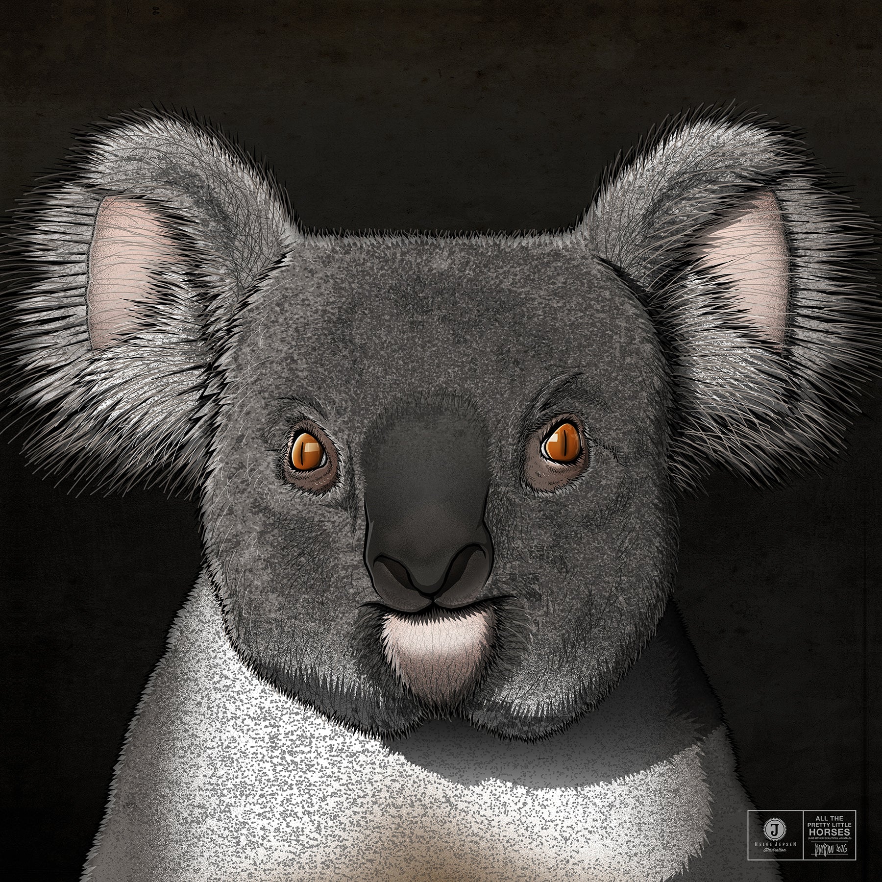 Koala