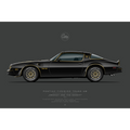 Pontiac Firebird Trans Am Smokey and the Bandit