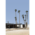 Salton Sea Desert Shore