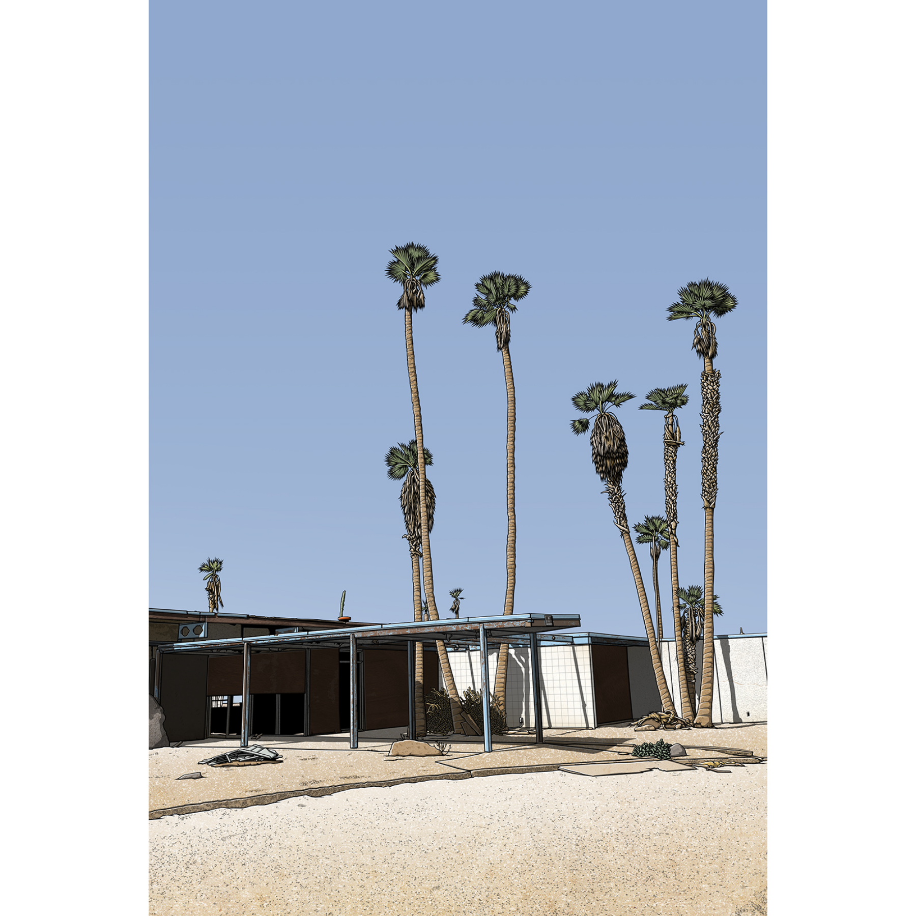 Salton Sea Desert Shore